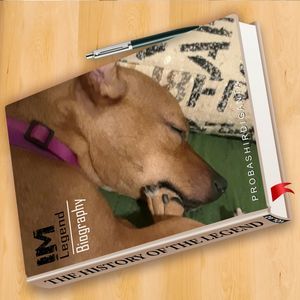 Meet your Posher, Julia